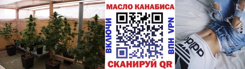 мега как зайти  Людиново  ТГК гашишное масло 