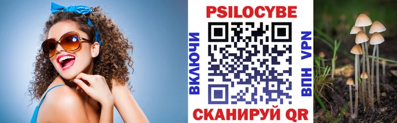 Псилоцибиновые грибы Psilocybine cubensis  закладки  мега вход  Людиново 