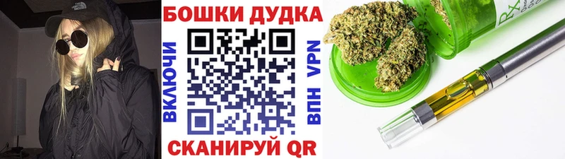 Каннабис сатива  наркошоп  Людиново 